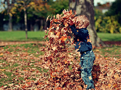 A boy splashing in leaves