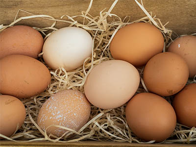 Several eggs on hay