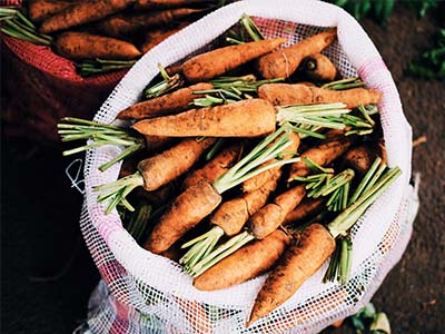 a bag of freshly picked Carrots