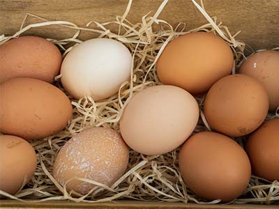 Several eggs on hay