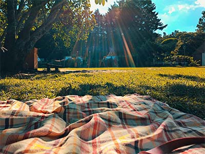 A picnic blanket