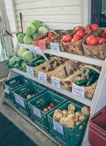 Veg on a rack for sale